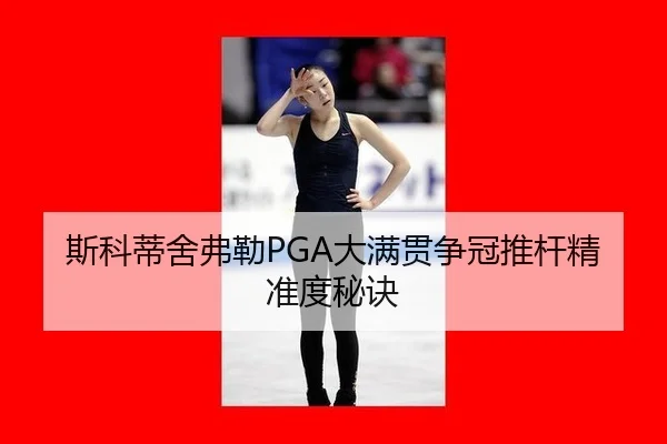 si-ke-di-she-fu-lei-da-man-guan-zheng-guan-tui-gan-jing-zhun-du-mi-jue-2-566.jpg