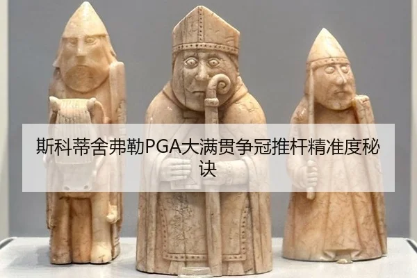si-ke-di-she-fu-lei-da-man-guan-zheng-guan-tui-gan-jing-zhun-du-mi-jue-3-647.jpg