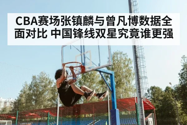 CBA赛场张镇麟与曾凡博数据全面对比 中国锋线双星究竟谁更强